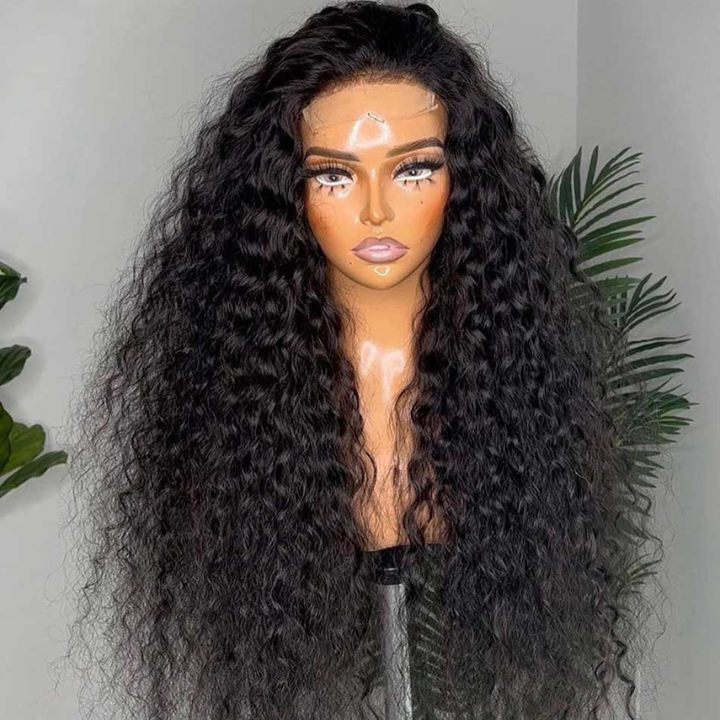 Glueless 5x5 HD Lace Closure Wig Pre Plucked Curly Hair With Baby Hair Natural Hairline Human Hair Wig - Geeta Hair